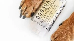 Hogyan védje meg a kutya mancsát a reagensekből: egyszerű óvintézkedések